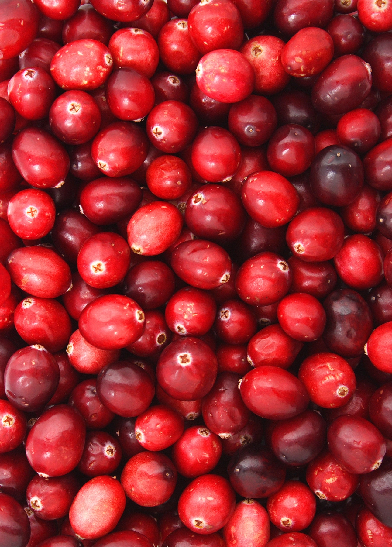 Fresh cranberries // FoodNouveau.com