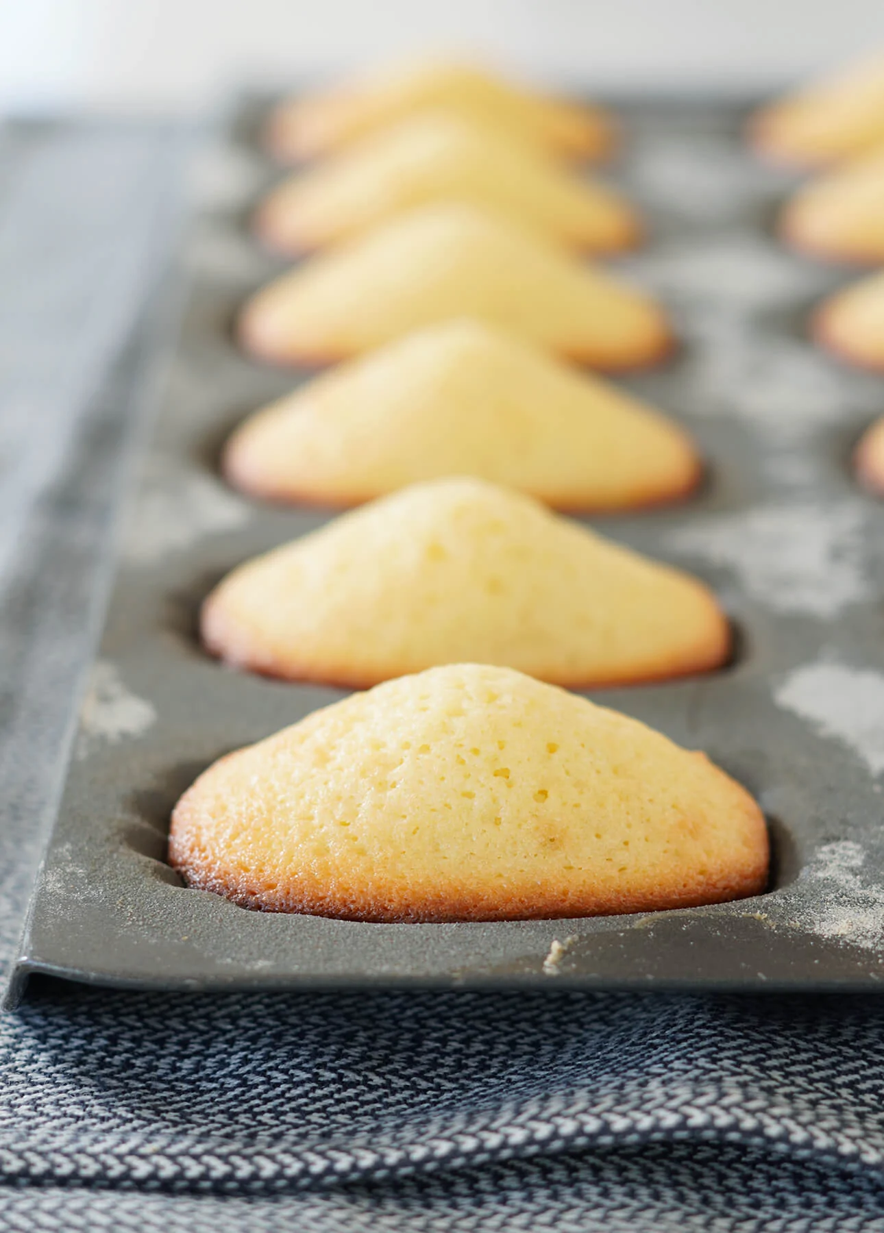 Perfect humps on classic madeleines // FoodNouveau.com